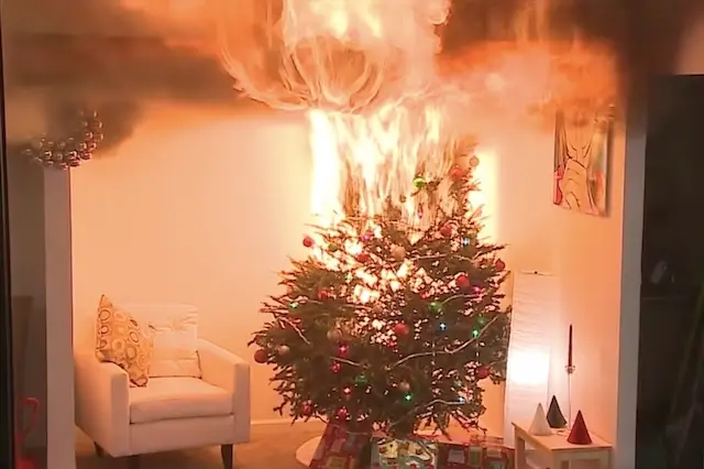 Only you can prevent Christmas tree fires.